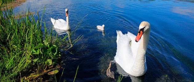 Accommodation in Belturbet, County Cavan is the beautiful land of lakes